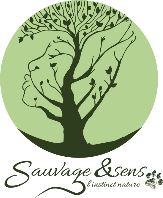Sauvage&Sens-logo1